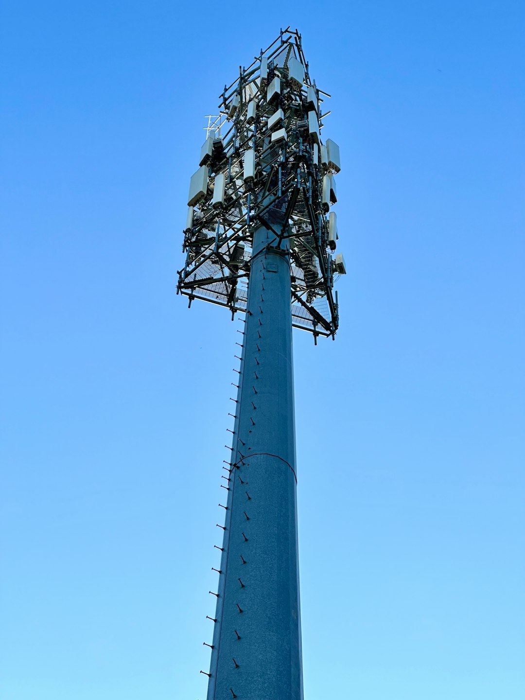 A local cell tower.
